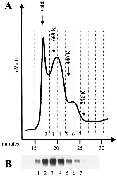 FIG. 3.