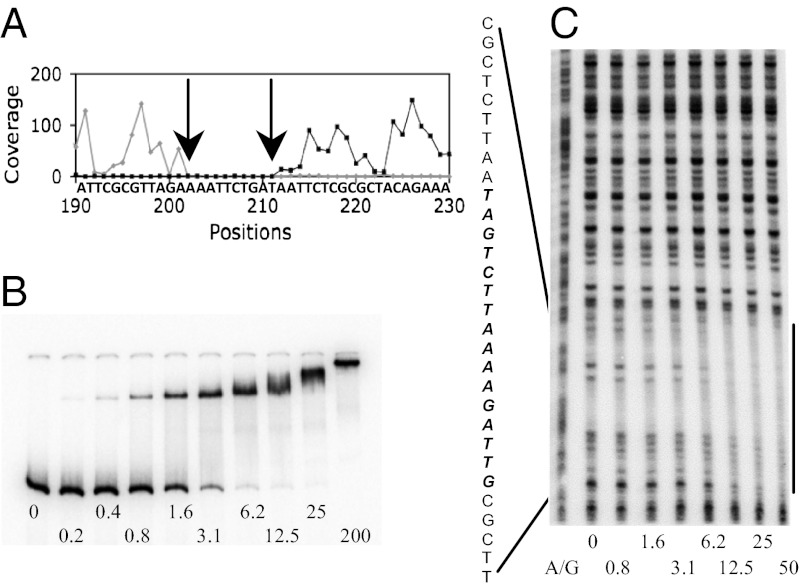 Fig. 6.