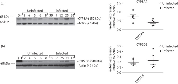 Figure 4.