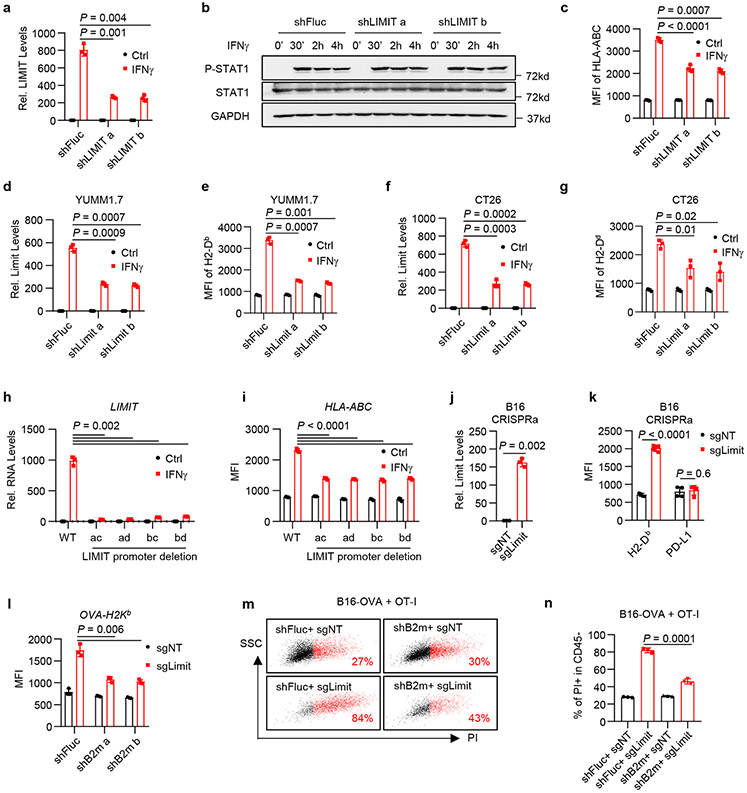 Fig. 2: