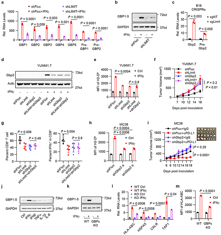 Fig. 4: