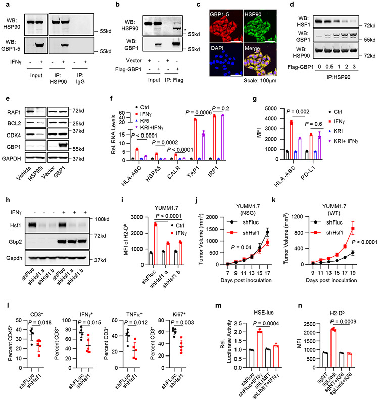 Fig. 6: