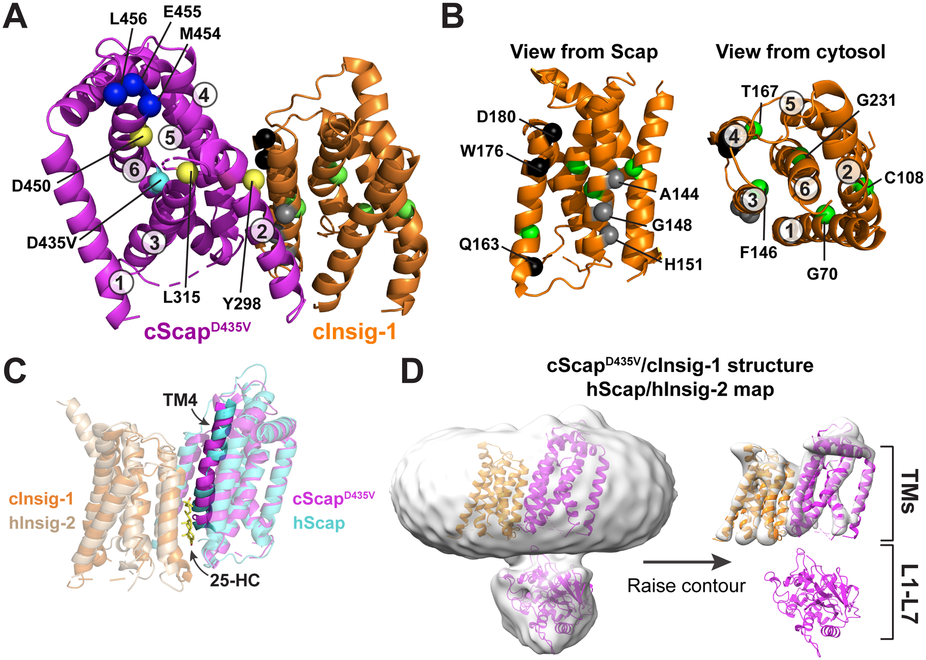 Figure 5.