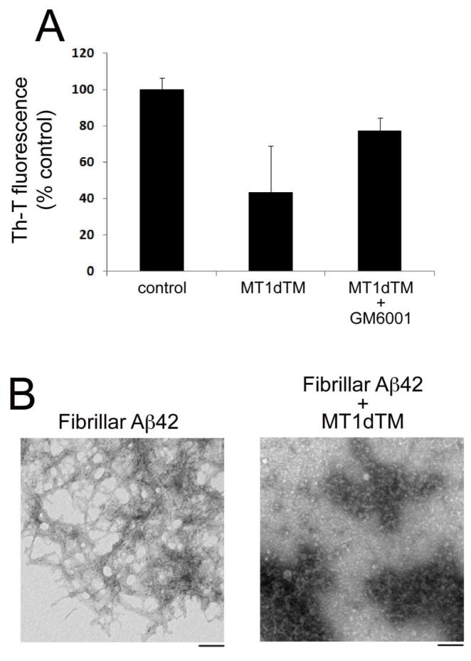 Fig. 9