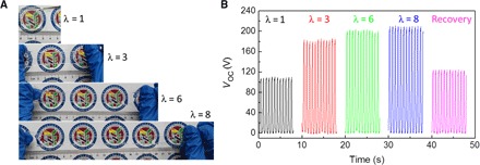 Fig. 4