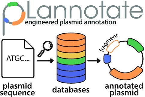 Graphical Abstract