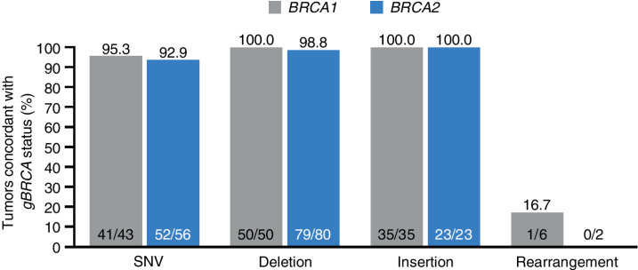 Figure 1. Tumor sequencing and concordance with germline BRCA status—evaluable ITT population. The proportion of patients with a known gBRCAmut by Central lab who have a BRCA1/2mut (defined as known or likely pathogenic variant, CNAs excluded) detected in a tumor using FoundationOne CDx. All patients showing concordant BRCA1 or BRCA2 mutational status exhibited the same mutation in tumor as originally detected in germline, as evidenced by mapping to a common Variation ID in ClinVar (https://www.ncbi.nlm.nih.gov/clinvar) or other comparative means, with one exception (1 patient who exhibited a distinct BRCA2mut in germline and tumor). A total of 14 patients were discordant: 2 patients—same germline variants used to support enrollment were classified by the FoundationOne CDx test as pathogenicity unknown; 7 patients exhibited gBRCA deletion impacting one or multiple exons and were hence mapped to Rearrangement category. These patients exhibited alterations classified as pathogenic BRCA CNAs by FoundationOne CDx in the corresponding BRCA genes; 2 patients—gBRCA2mut, tBRCA1mut; 1 patient—gBRCA1mut, tBRCA2mut; 2 patients—no tBRCA variant detected.