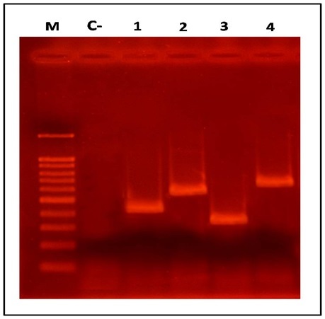 [Table/Fig-2]: