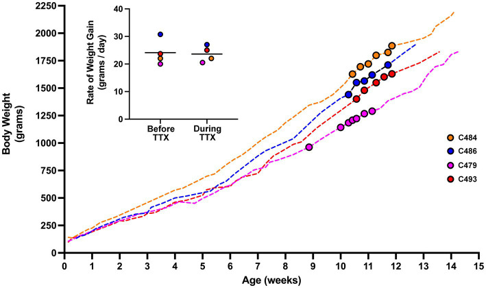 Figure 6