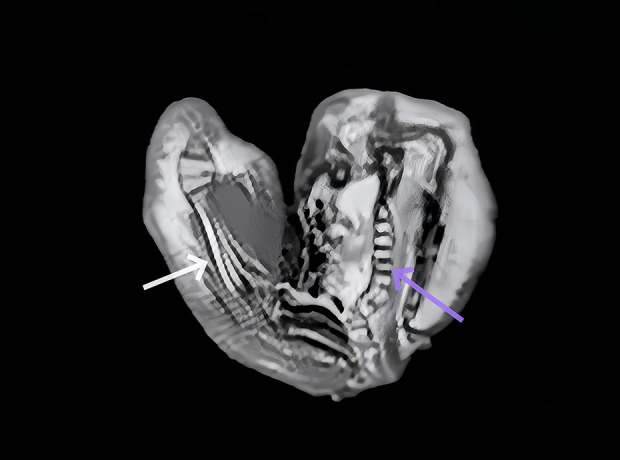 Figure 6.