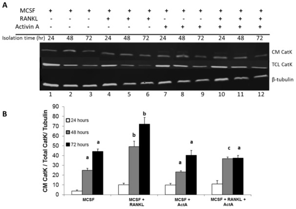 Fig. 6.