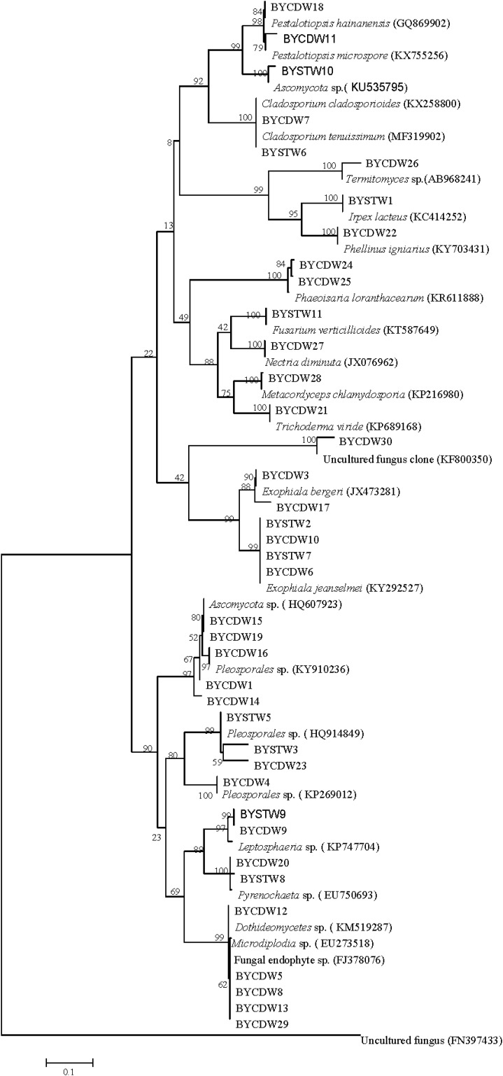 FIGURE 1