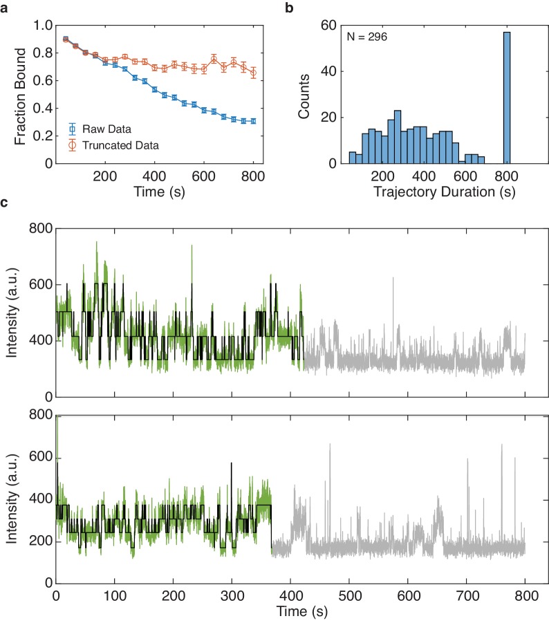 Figure 5—figure supplement 3.