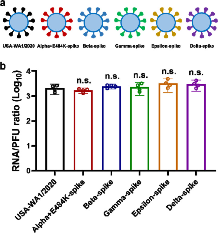 Extended Data Figure 1.