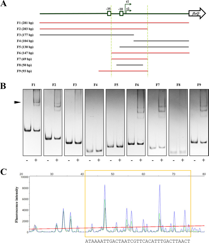 FIG 3