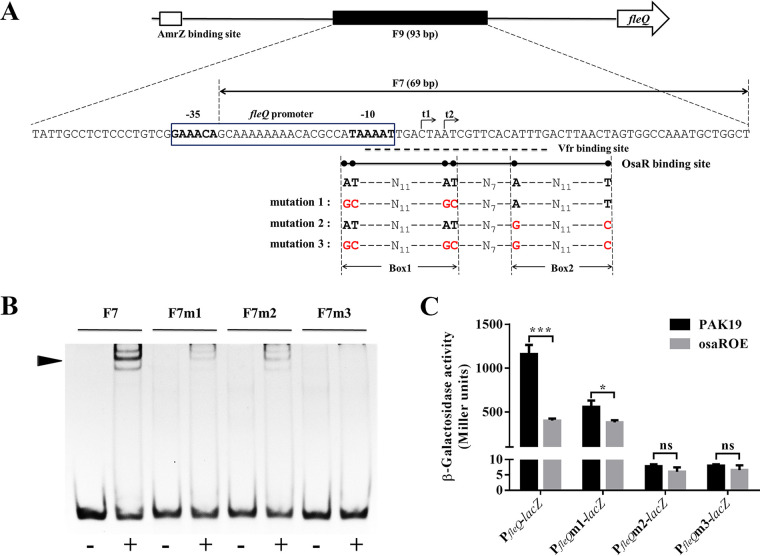 FIG 4