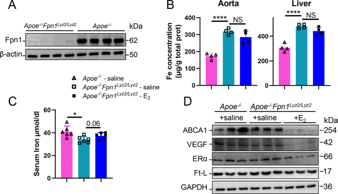 Figure 3—figure supplement 1.