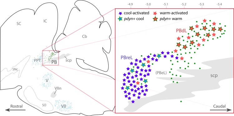 Fig. 11.