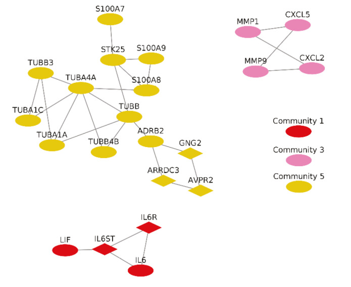 graphic file with name turkjbio-44-168-fig017.jpg