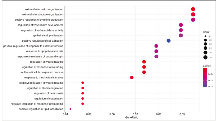 graphic file with name turkjbio-44-168-fig011.jpg