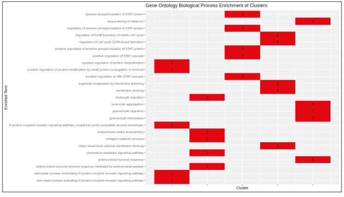 graphic file with name turkjbio-44-168-fig016.jpg