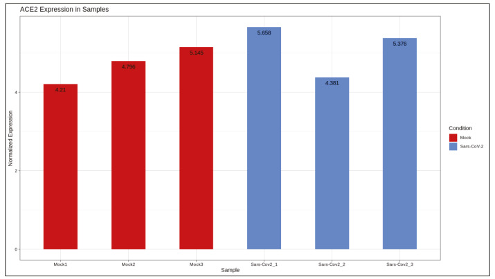 graphic file with name turkjbio-44-168-fig007.jpg