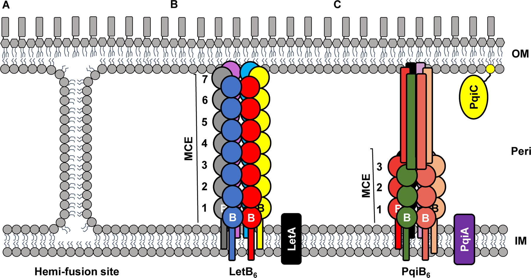 Figure 3: