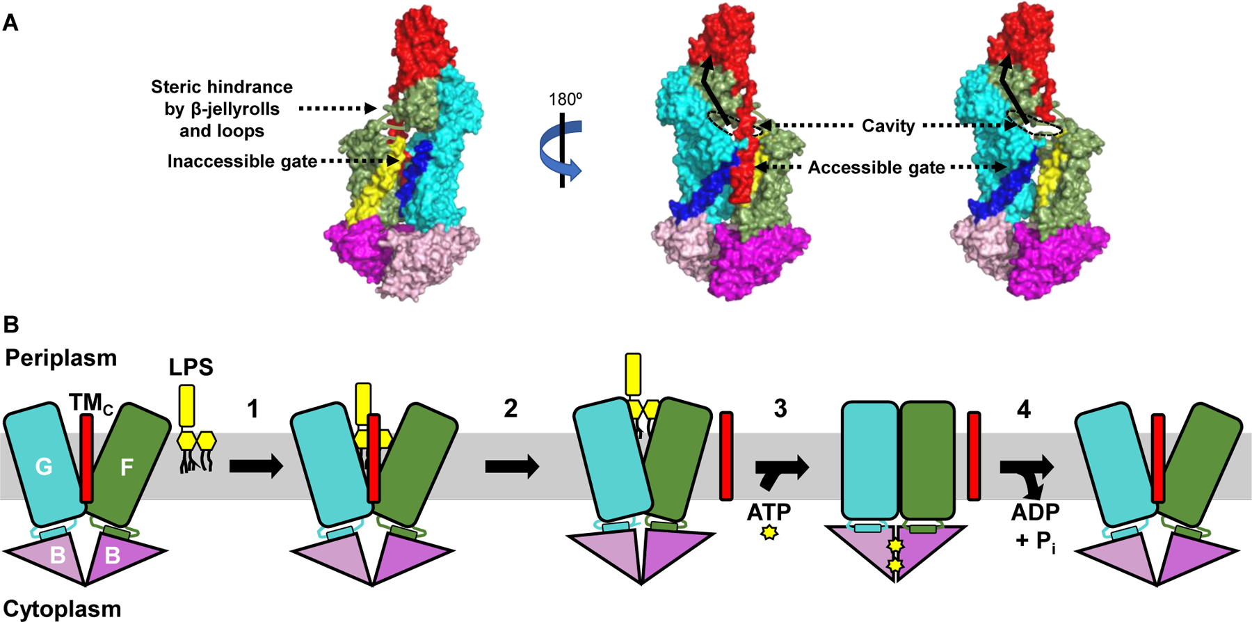 Figure 2: