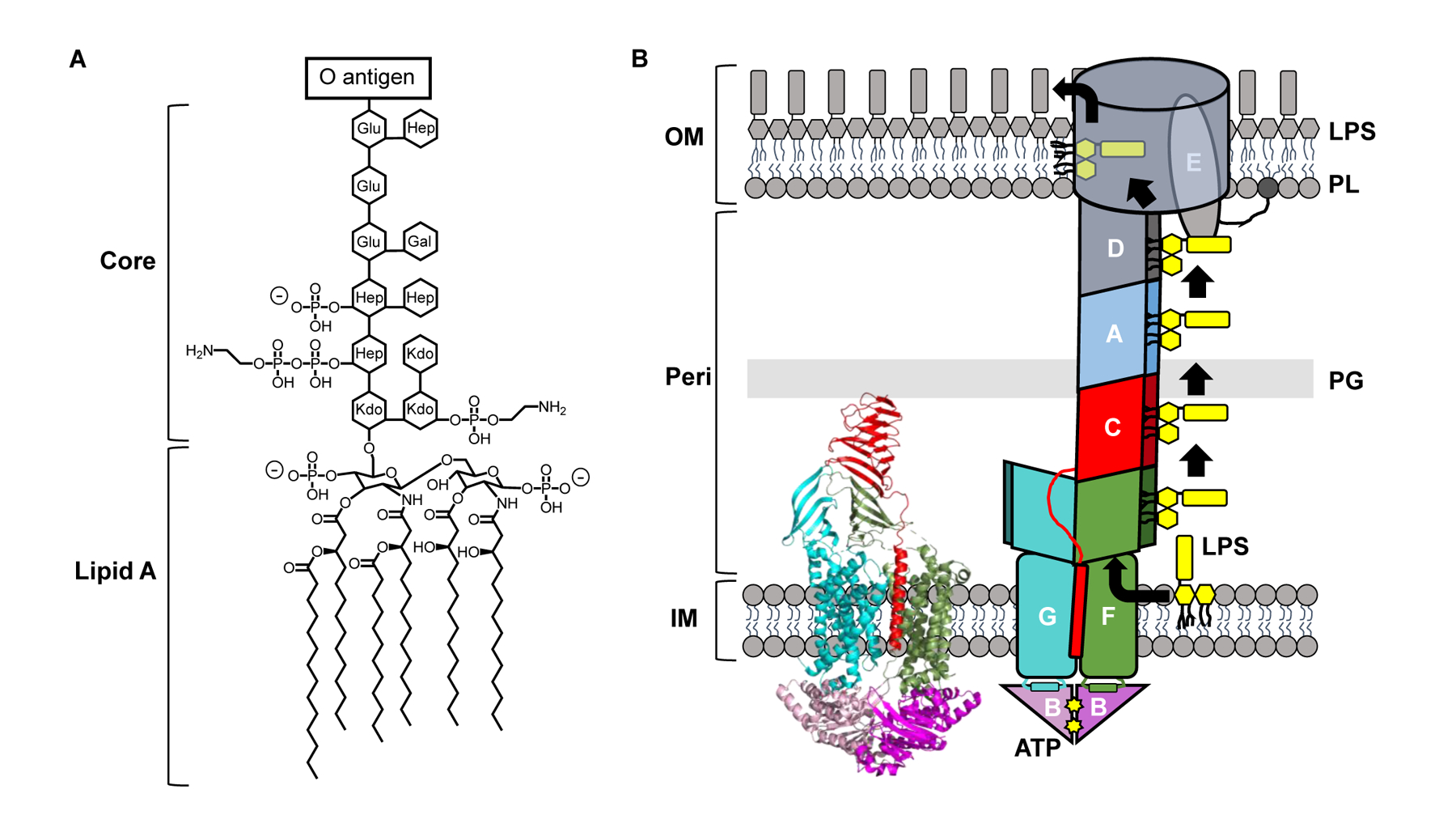 Figure 1: