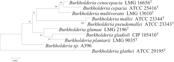 Fig 1