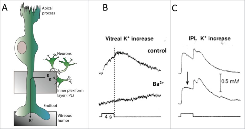 Figure 5.