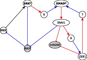 Fig. 8