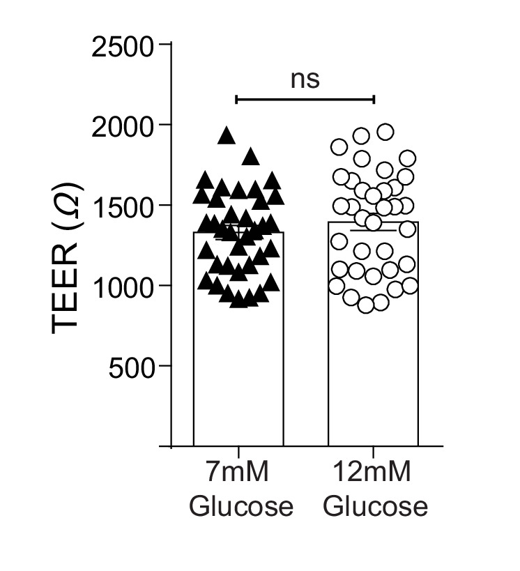 Figure 1—figure supplement 1.