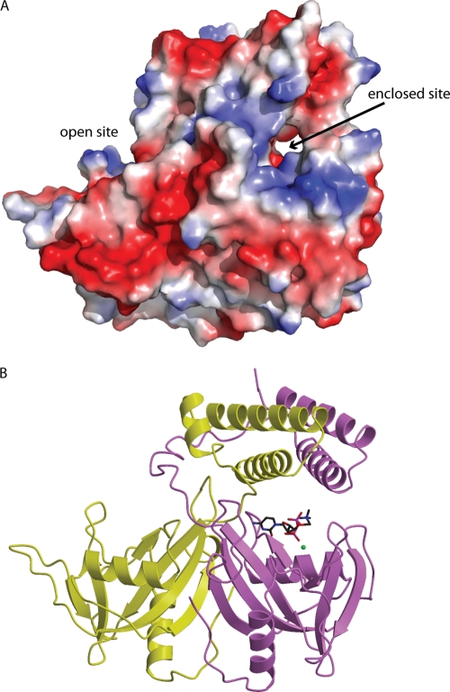 Fig. 7.