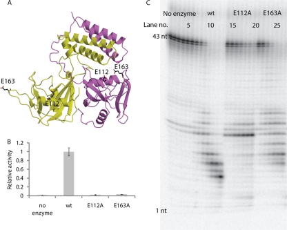 Fig. 6.