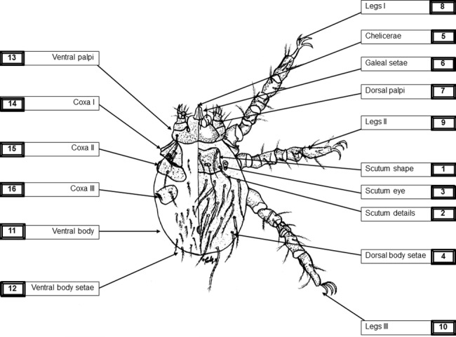 Fig 1