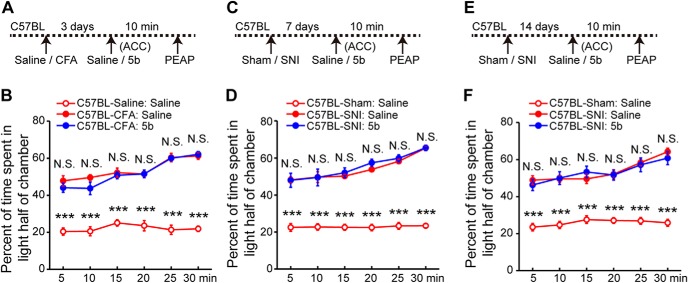 Figure 11.