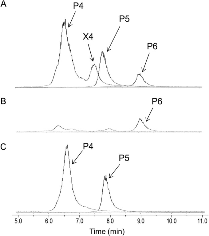 FIG 6