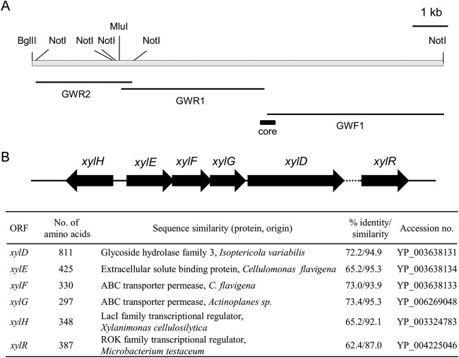 FIG 1