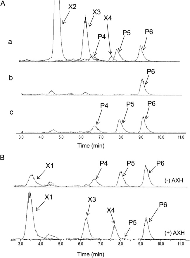 FIG 5