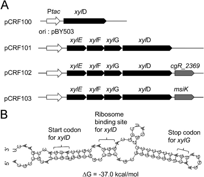 FIG 3