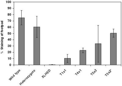 Figure  4. 