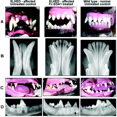 Figure  1. 