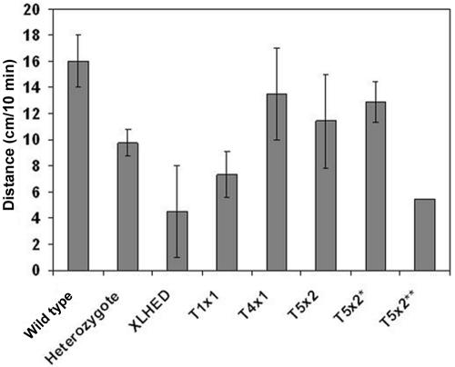 Figure  2. 