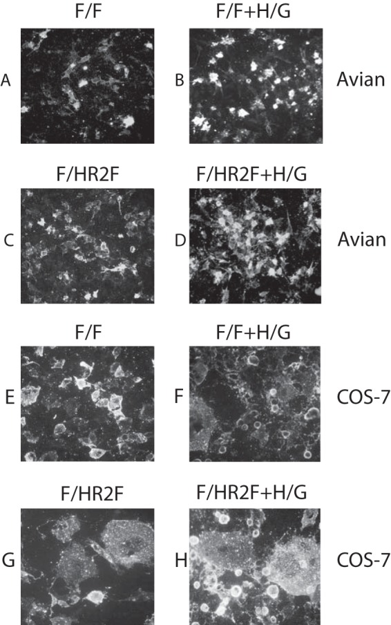 FIG 2