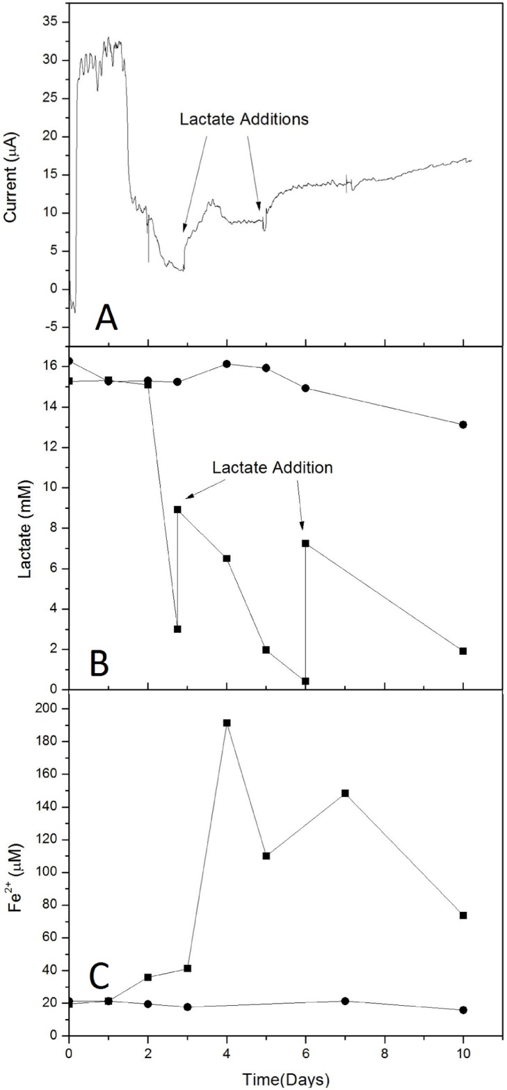 Fig 3