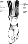 Fig. 6