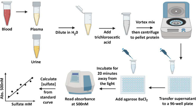 Image, graphical abstract