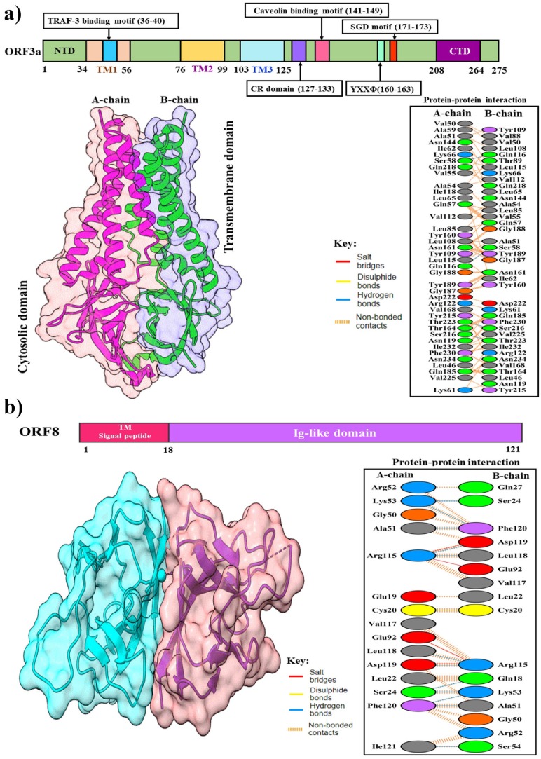 Fig. 8