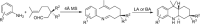graphic file with name 41061_2023_428_Figa_HTML.gif